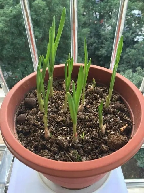 圖片 2.png 圖片 2.png