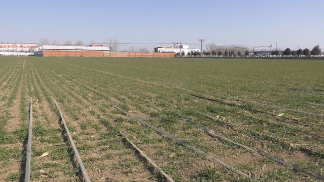 下載 (1).jpg 下載 (1).jpg