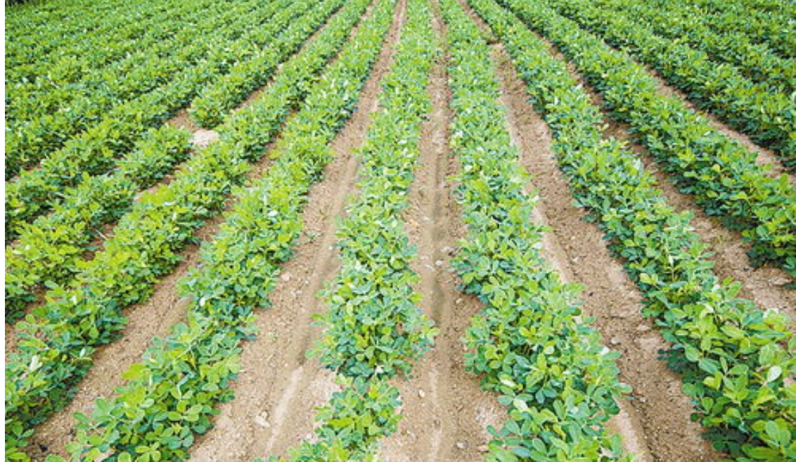 圖片3.png 圖片3.png