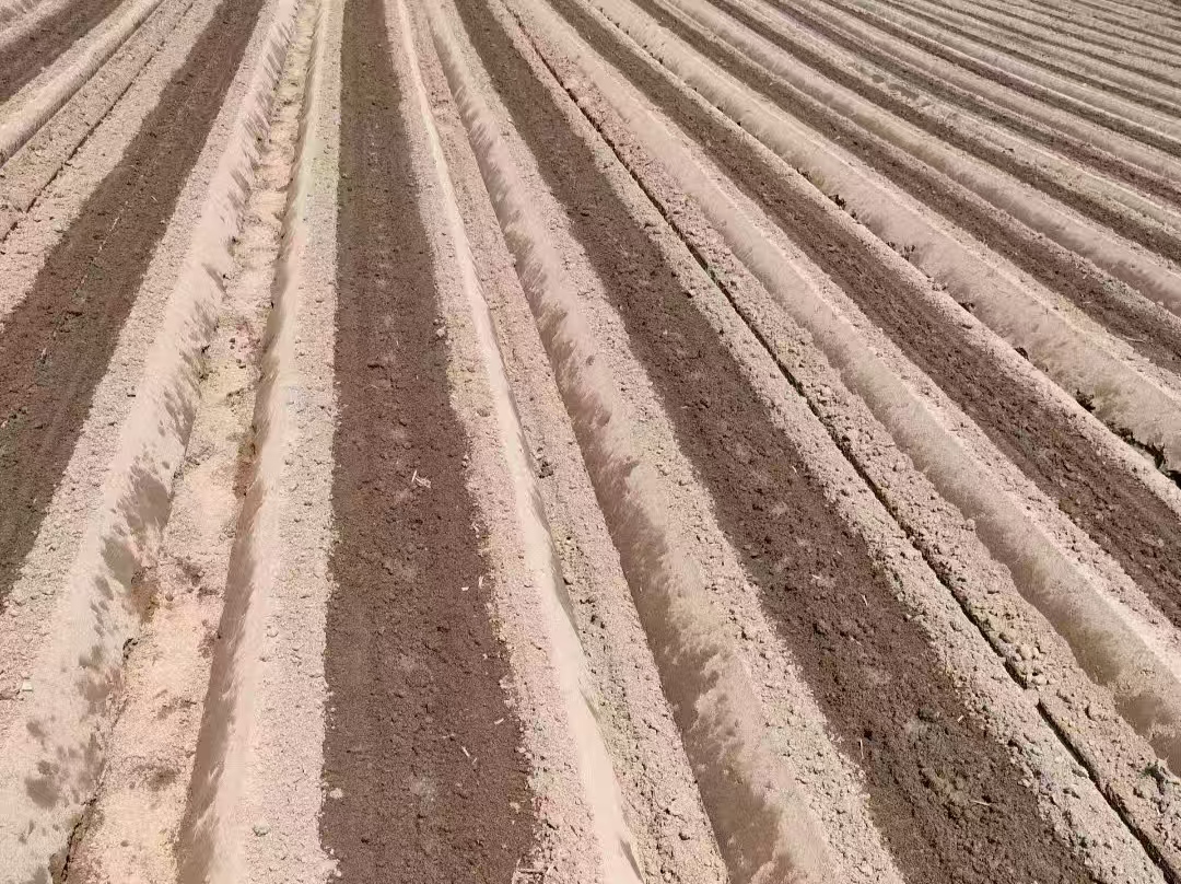 3213c6d35aaf8c459ac4b27fb5d0aea.jpg 3213c6d35aaf8c459ac4b27fb5d0aea.jpg